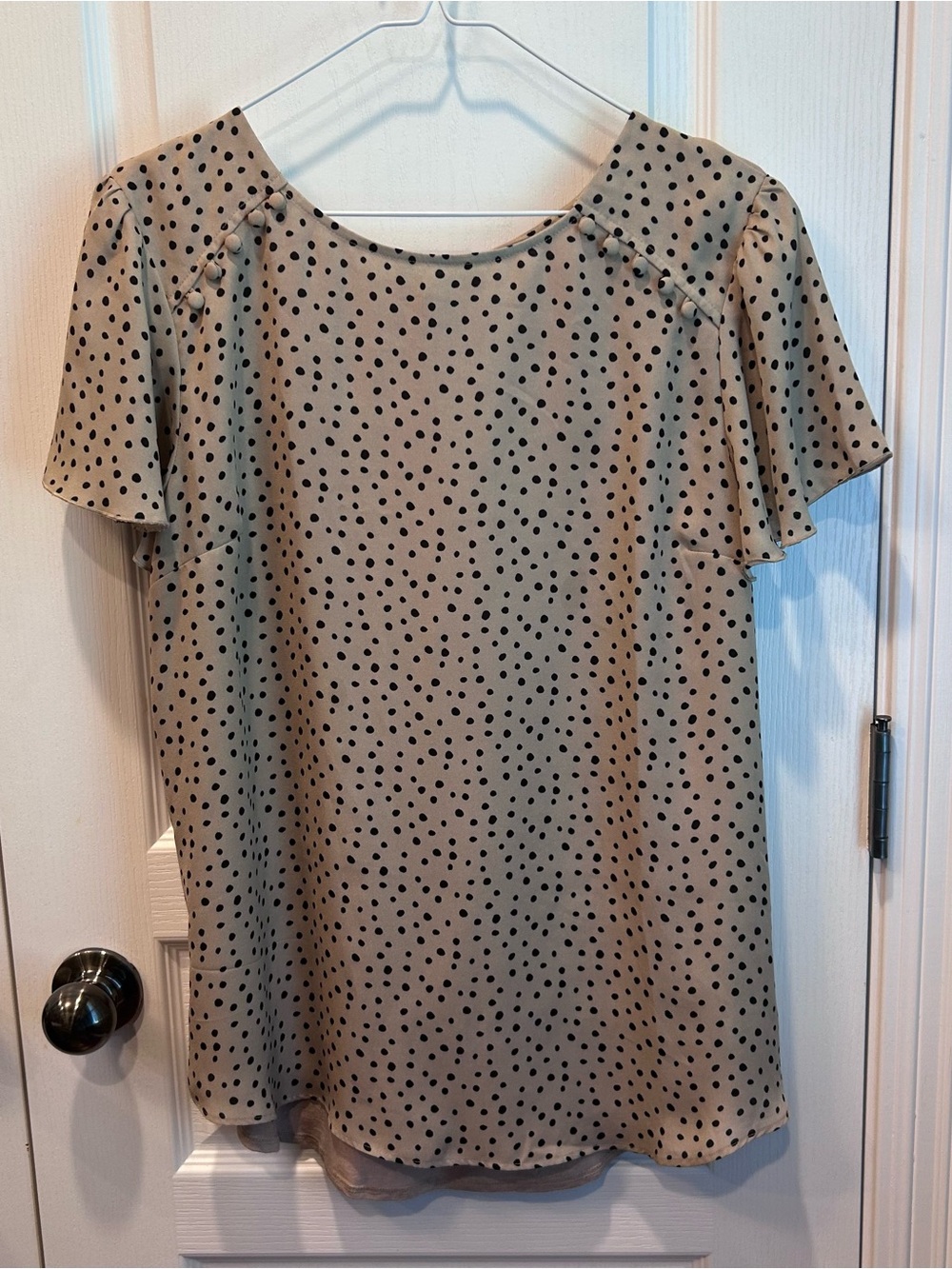 Fortune + Ivy Women’s Mocha & Black Polka Dot Ruffle Short Sleeve Top Size Large